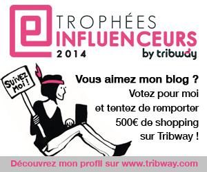 Trophées Influenceurs 2014