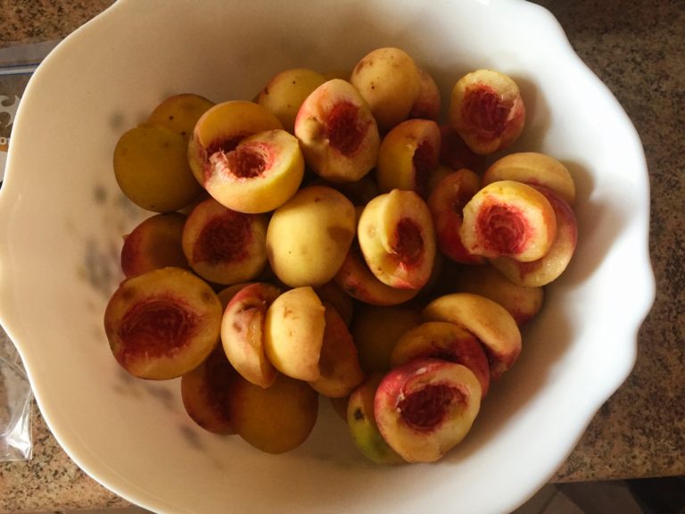 ♨ Recette de Confiture de pêches (recette Companion) Cuisine Blog