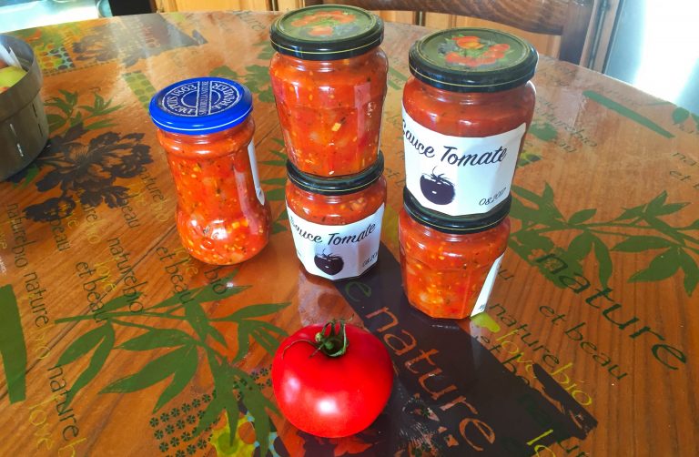 ♨ Recette de Sauce tomate (recette Companion) Cuisine Blog