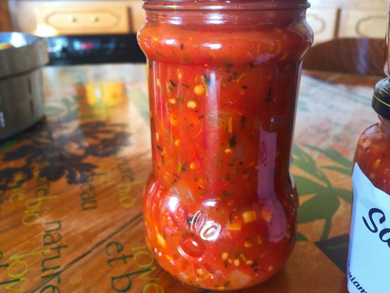 ♨ Recette de Sauce tomate (recette Companion) Cuisine Blog